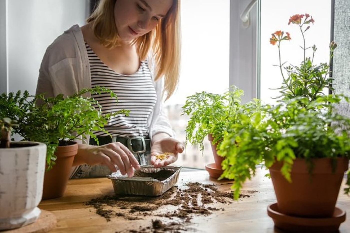 Лунный календарь на декабрь-2025: дни, когда растения трогать запрещено