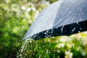 Прогноз погоды на 16 мая: дожди, слабый туман и от -3 °С до +15 °С