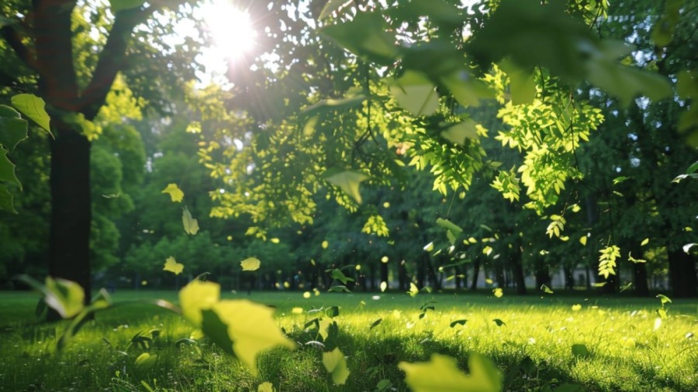 Погода в Беларуси 28 августа: без осадков и от +4 °С до +30 °С