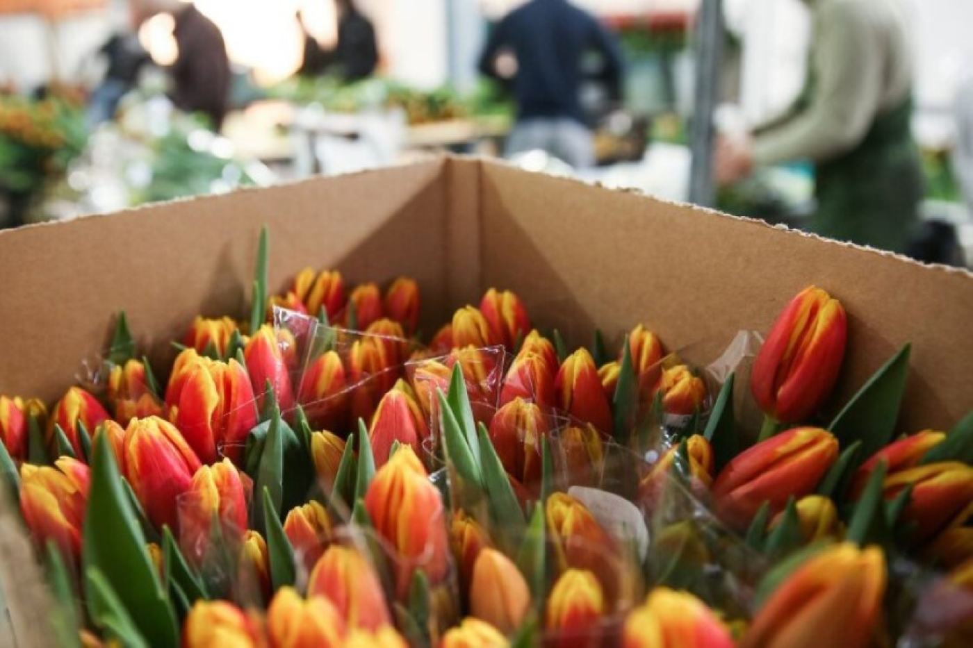 Налоговые советы при праздничной торговле цветами