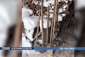 Арестован житель Дзержинска, который подозревается в убийстве отца своей сожительницы