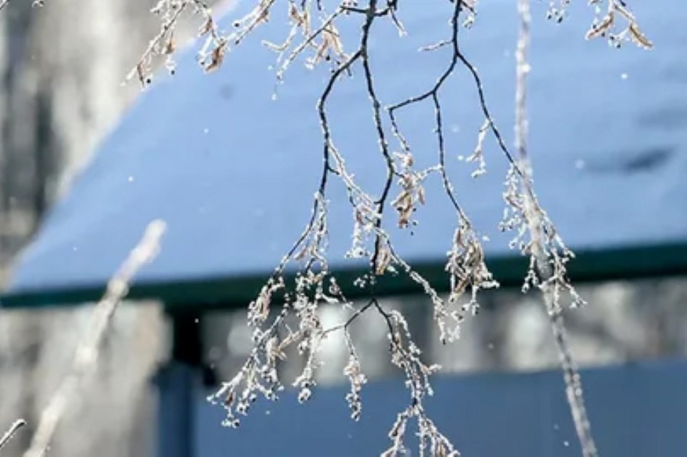 Погода в Беларуси 24 февраля: снег с дождем и от -5 °С до +5 °С