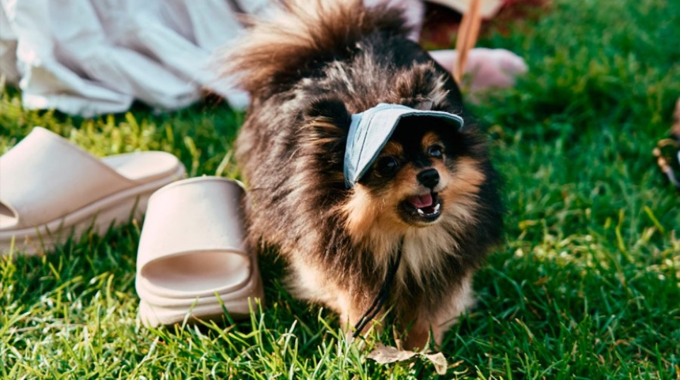 Вы знали, что размер обуви меняется и у взрослых людей? Вот почему это происходит