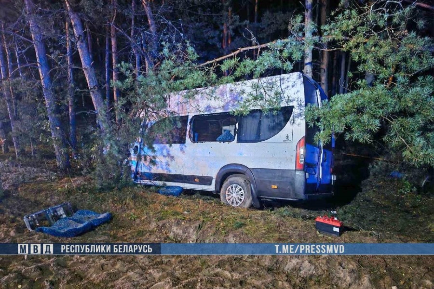 В ДТП под Вилейкой с участием микроавтобуса пострадали восемь человек