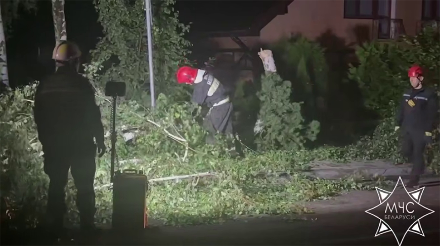 Распиловка деревьев, откачка воды. Спасатели устраняют последствия непогоды в Минске и Минской области