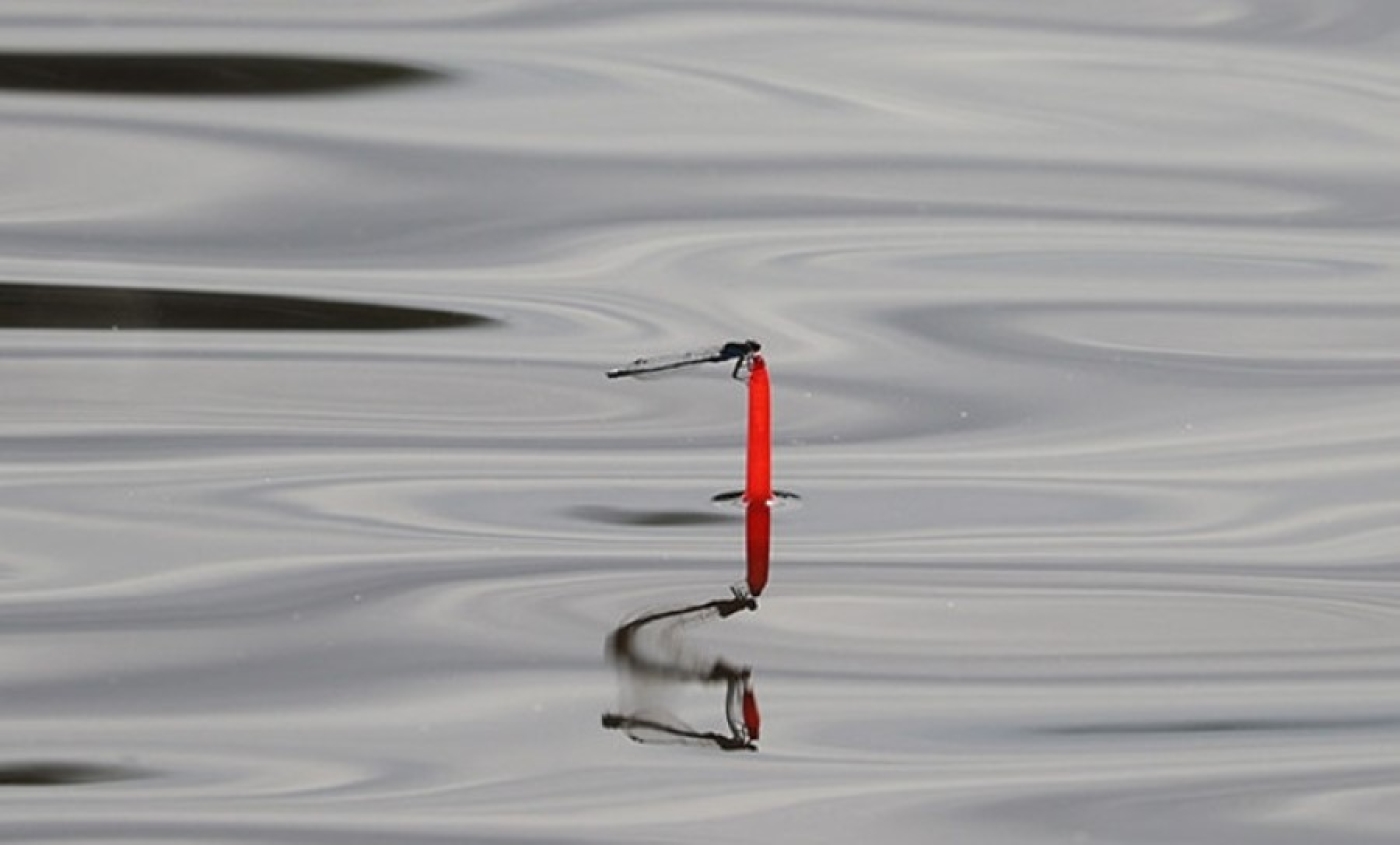 Три серьезных случая браконьерства в период нереста выявлено за прошедшую неделю