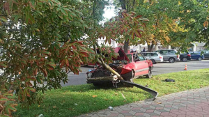 В Бресте пожилой водитель из-за плохого самочувствия попал в ДТП