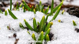 В Беларуси с начала марта выпало осадков в 1,5-2,5 раза больше нормы