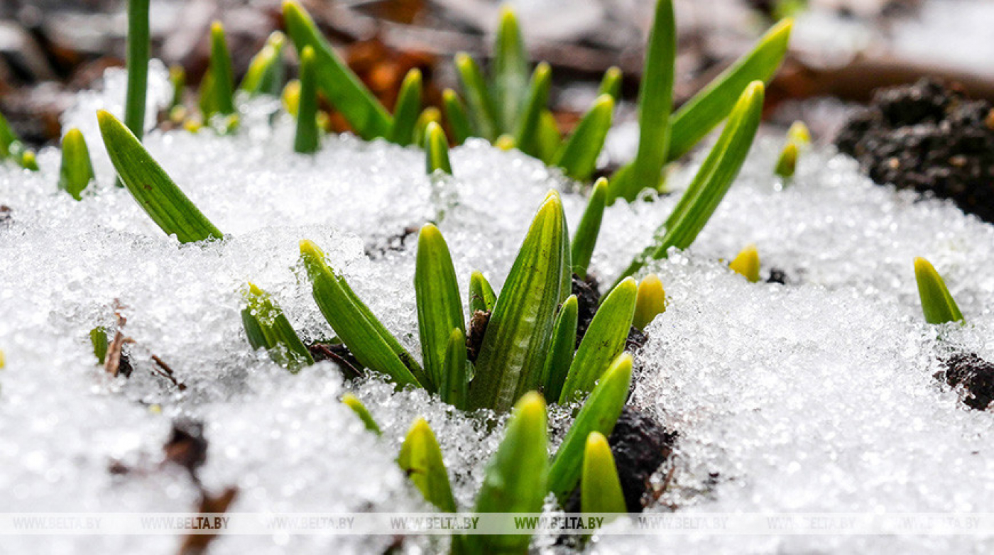 В Беларуси с начала марта выпало осадков в 1,5-2,5 раза больше нормы