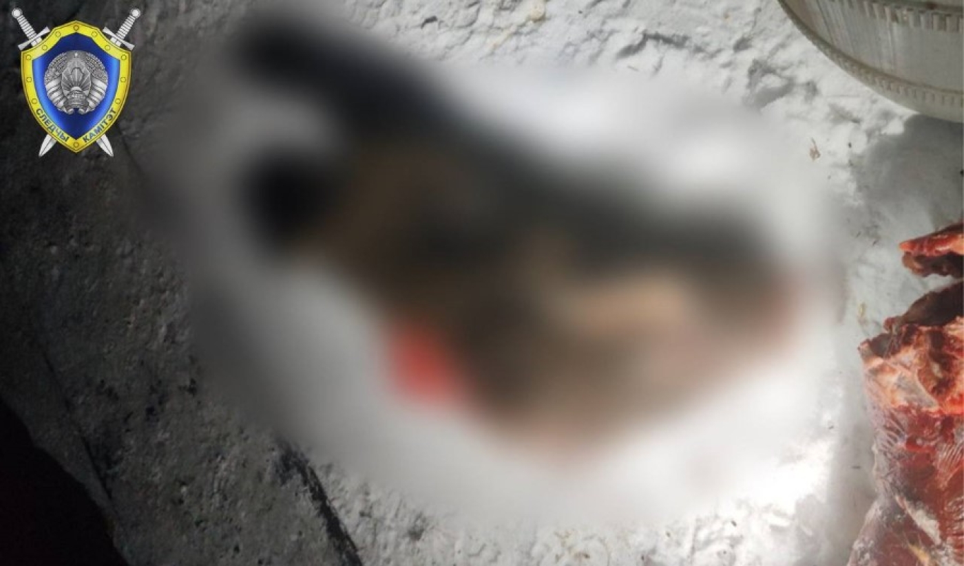 Ущерб превысил Br5 тыс. В Борисовском районе задержан браконьер