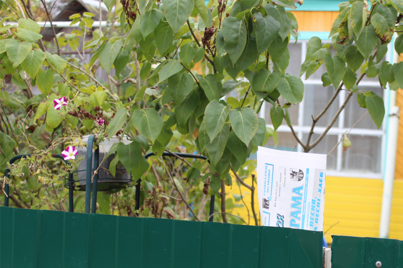 Родам з вельмі блізкага замежжа