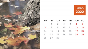 Впереди длинные выходные. Как белорусы будут работать в ноябре