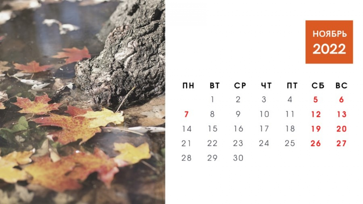 Впереди длинные выходные. Как белорусы будут работать в ноябре