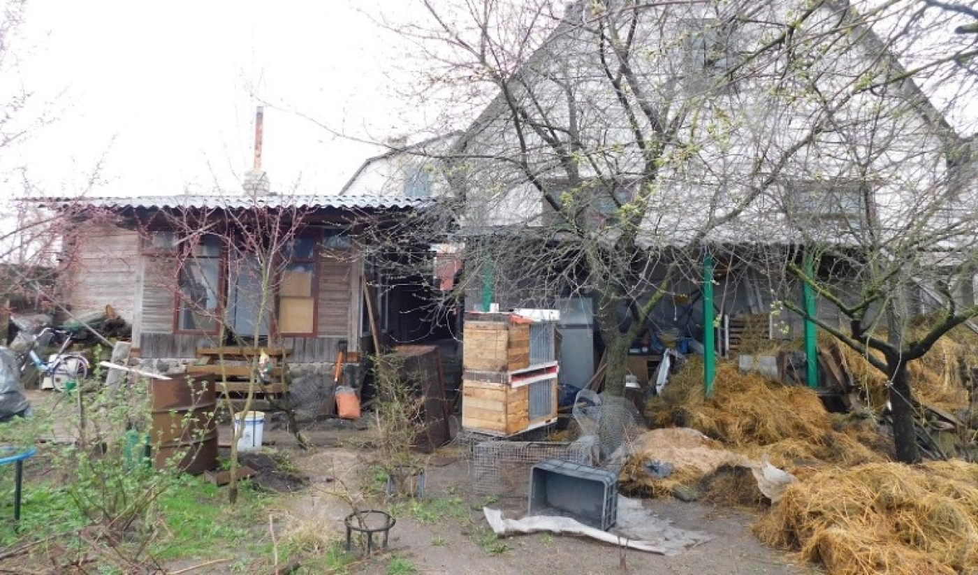 В Молодечно пожилые супруги убили своего зятя. Возбуждено уголовное дело