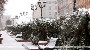 "По-настоящему зимняя". Синоптики о погоде на неделю