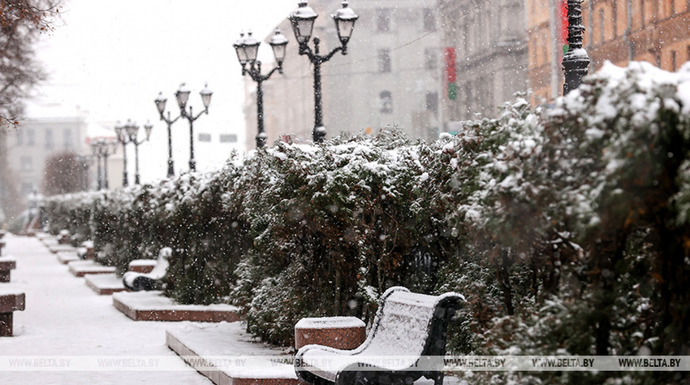 "По-настоящему зимняя". Синоптики о погоде на неделю