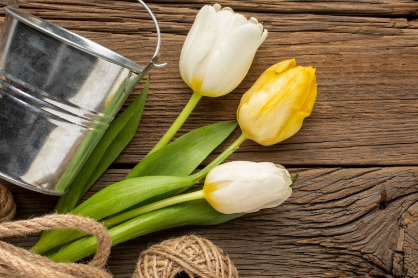 Весна в вазе. Эксперт рассказала, как сделать так, чтобы букет радовал дольше