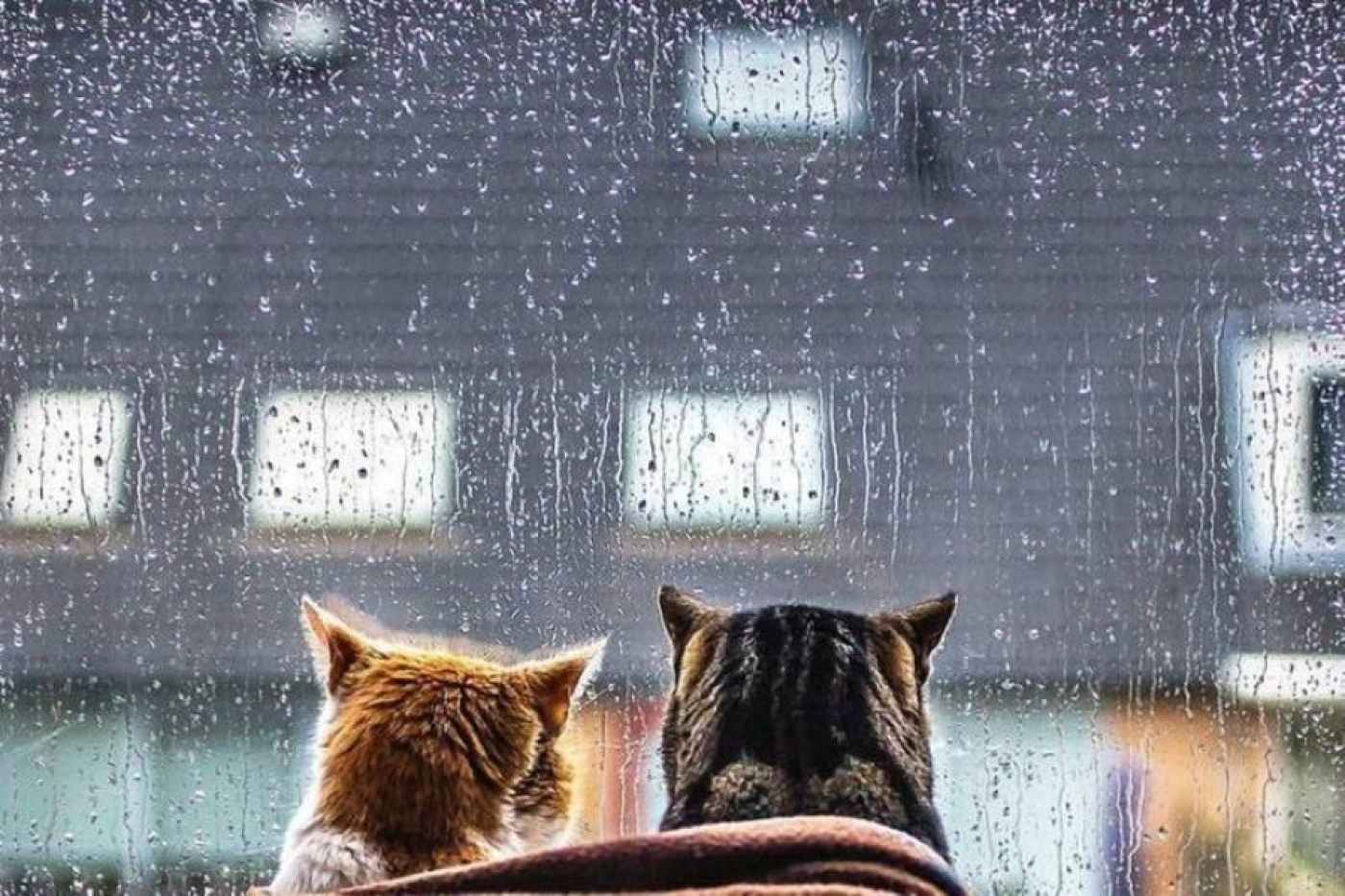 Погода 30 июня: дожди, грозы и до +23 °С