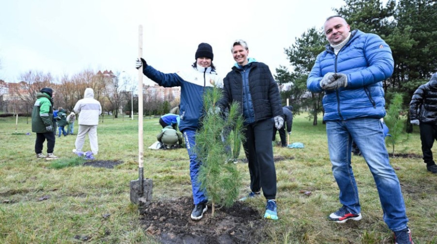 Известные белорусские спортсмены высадили аллею кедров в Минске