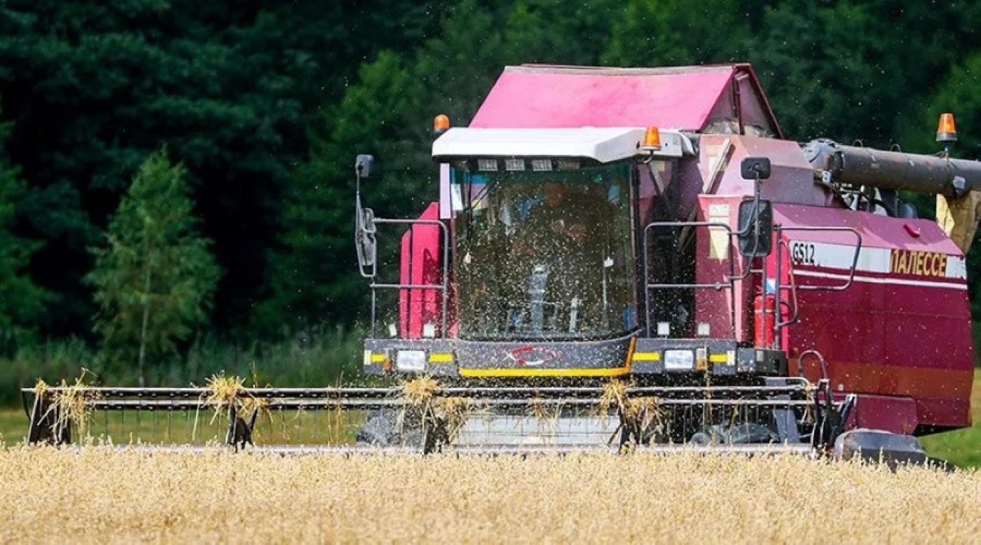 Аграрии Беларуси намолотили свыше 9 млн тонн зерна