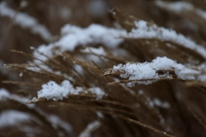 Погода в Беларуси 14 января: небольшой снег, гололедица, слабый ветер и от -7 °С до -23 °С
