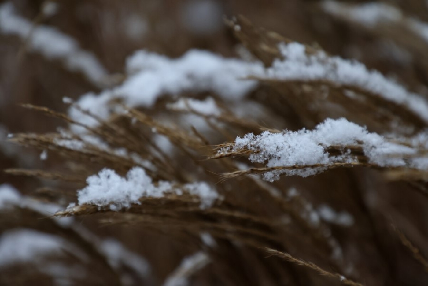 Погода в Беларуси 14 января: небольшой снег, гололедица, слабый ветер и от -7 °С до -23 °С