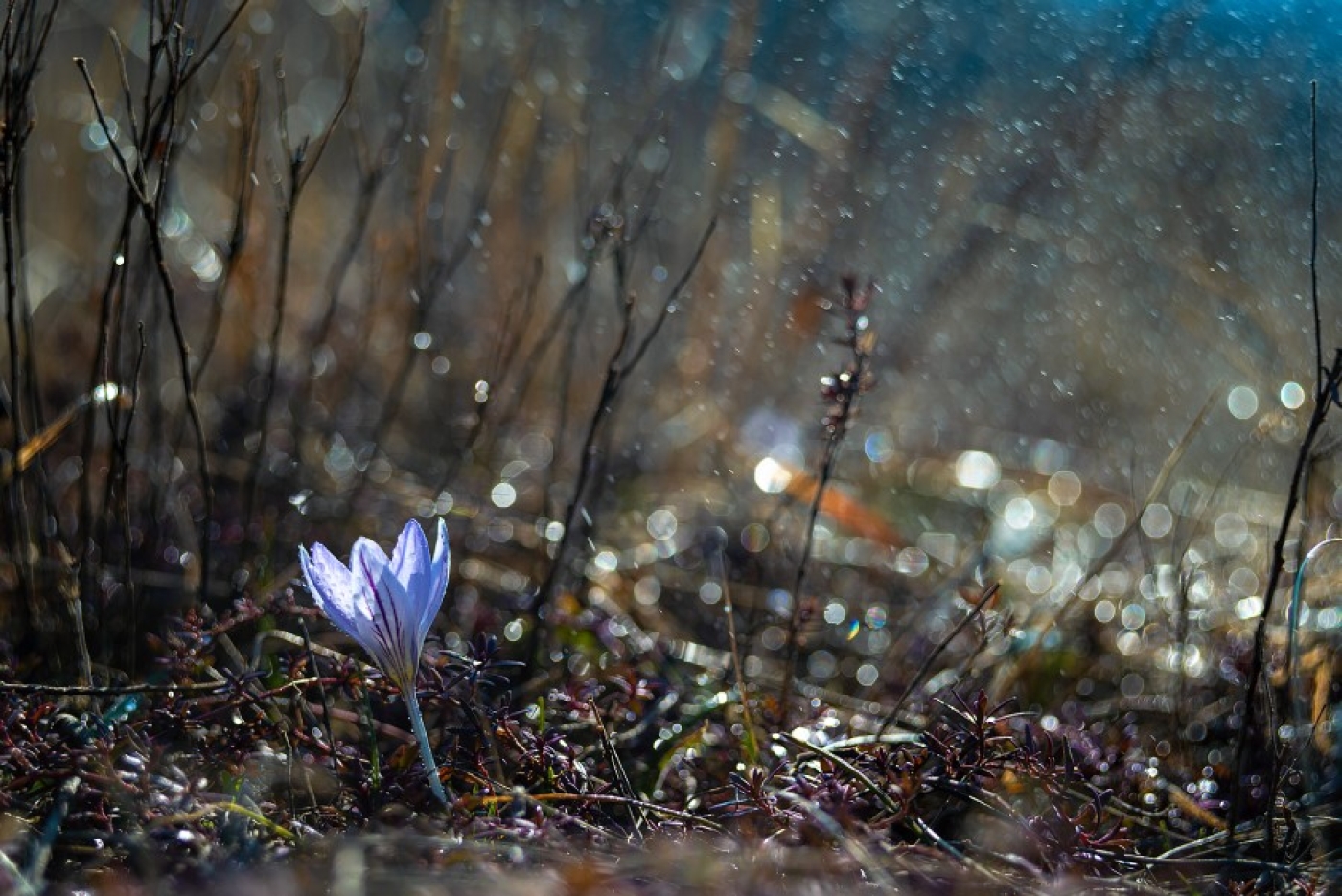 Погода в Беларуси в выходные: без осадков и от -4 °С ночью до +15 °С днем
