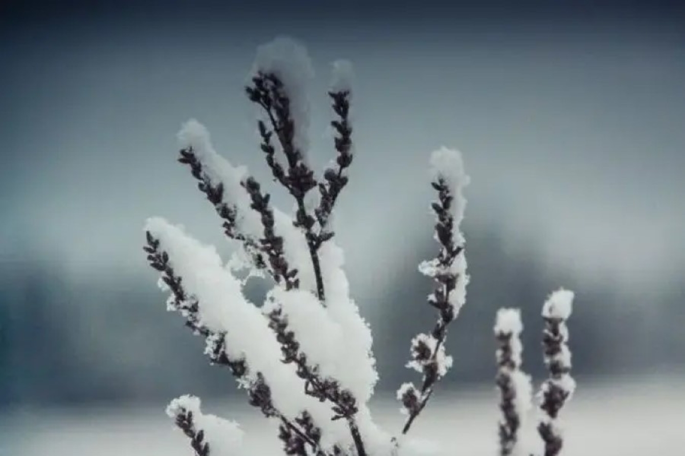 Погода в Беларуси 23 февраля: сильный снег и от -10 °С до +5 °С