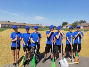 Сельскохозяйственный студотряд «Стрела» приступил к работе в ОАО «Бродец»