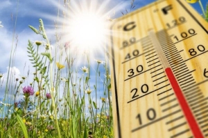 Погода в Беларуси 17 апреля: кратковременные дожди, местами грозы и от +7 °С до +28 °С