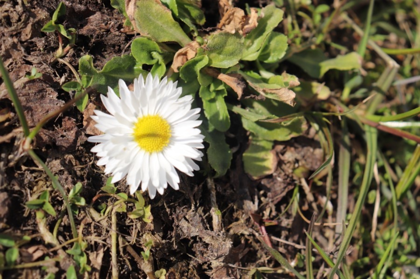 Не может быть? Еще как может!