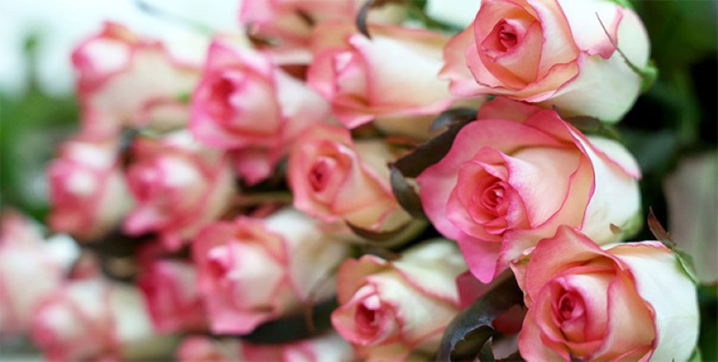 Присуждено 25 премий Федерации профсоюзов Беларуси в области труда