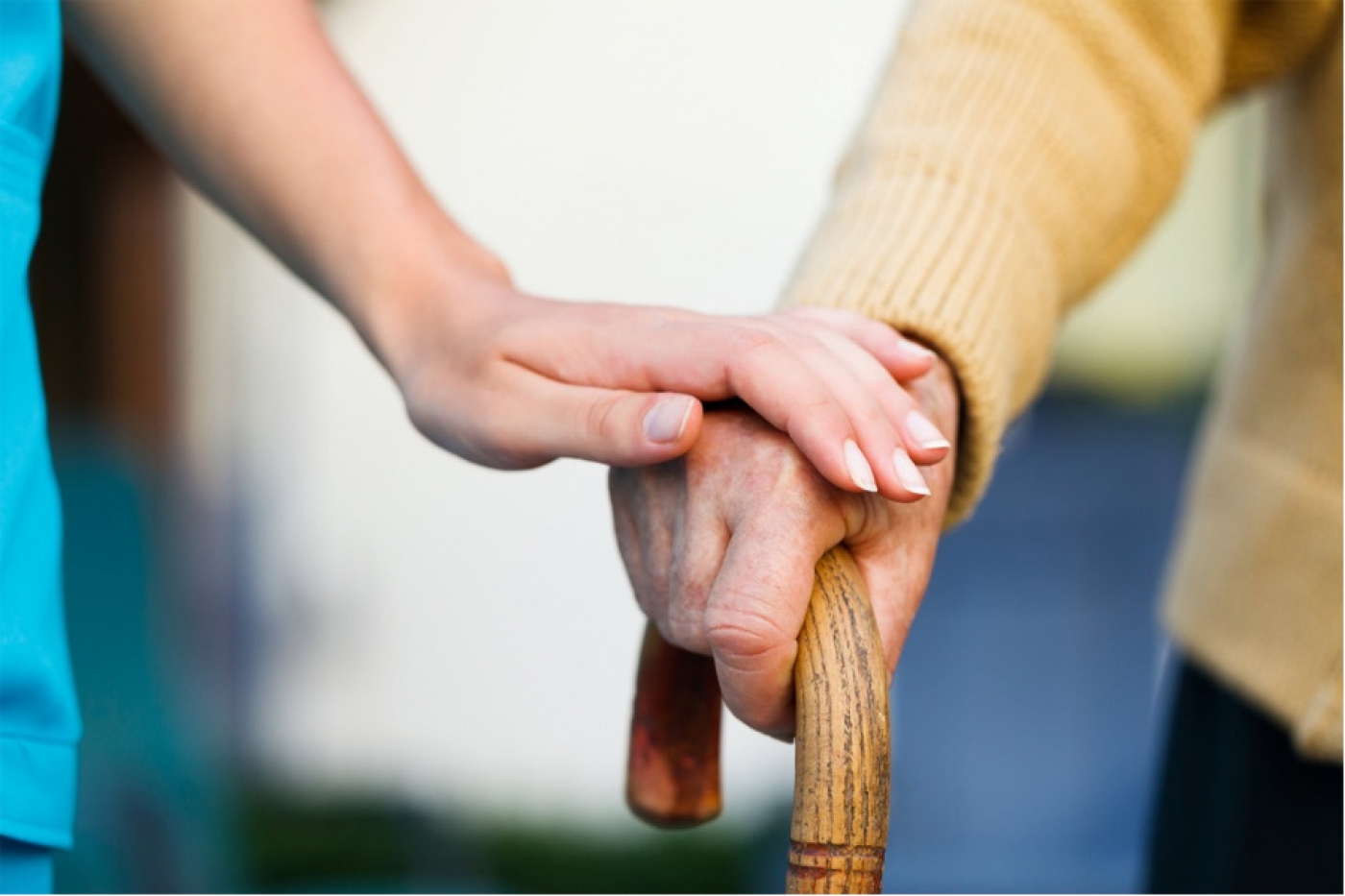 Услуги центра