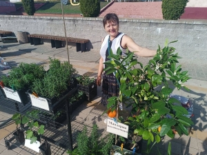 В Березино сегодня ярмарка