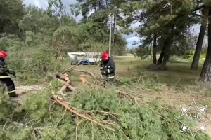 Упавшие деревья и два поврежденных авто. Спасатели более 30 раз выезжали на ликвидацию последствий непогоды
