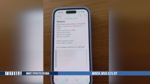 В Минске няня присматривала за 3-летним ребенком и украла у его родителей украшения на Br8 тыс.