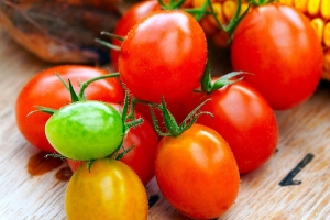 Скороспелые томаты для теплицы: эти сорта рекомендуют дачники в 2026 году