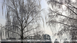 "Зимней морозной сказки не будет". Синоптики о погоде в праздничные дни