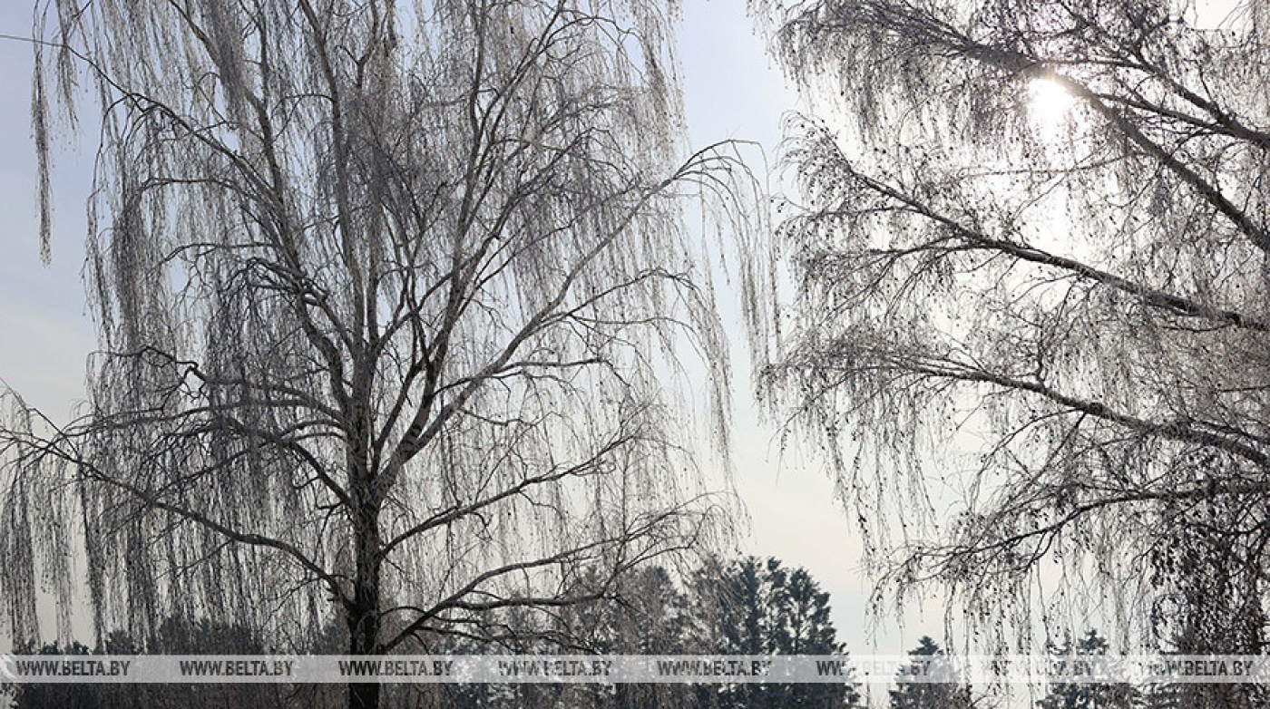 "Зимней морозной сказки не будет". Синоптики о погоде в праздничные дни