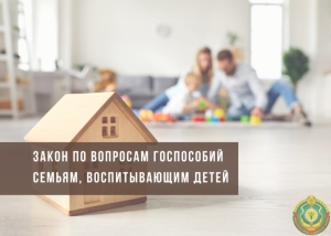 Подписан Закон по вопросам государственных пособий семьям, воспитывающим детей