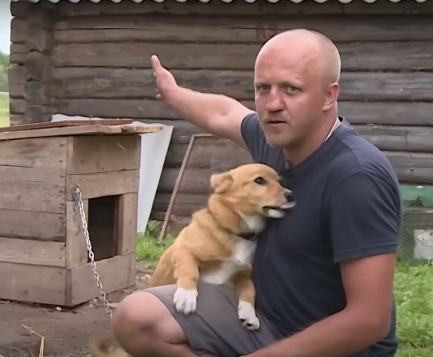 В Могилеве ураган унес будку вместе с собакой далеко в поле