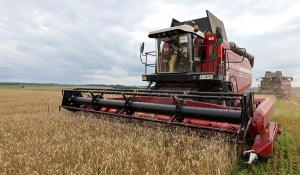 За счет чего в Беларуси получили хороший урожай, рассказали в Минсельхозпроде