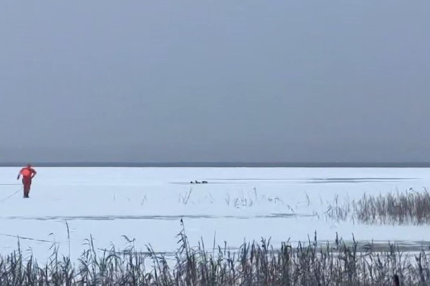 Работники МЧС спасли мужчину на озере в Городокском районе