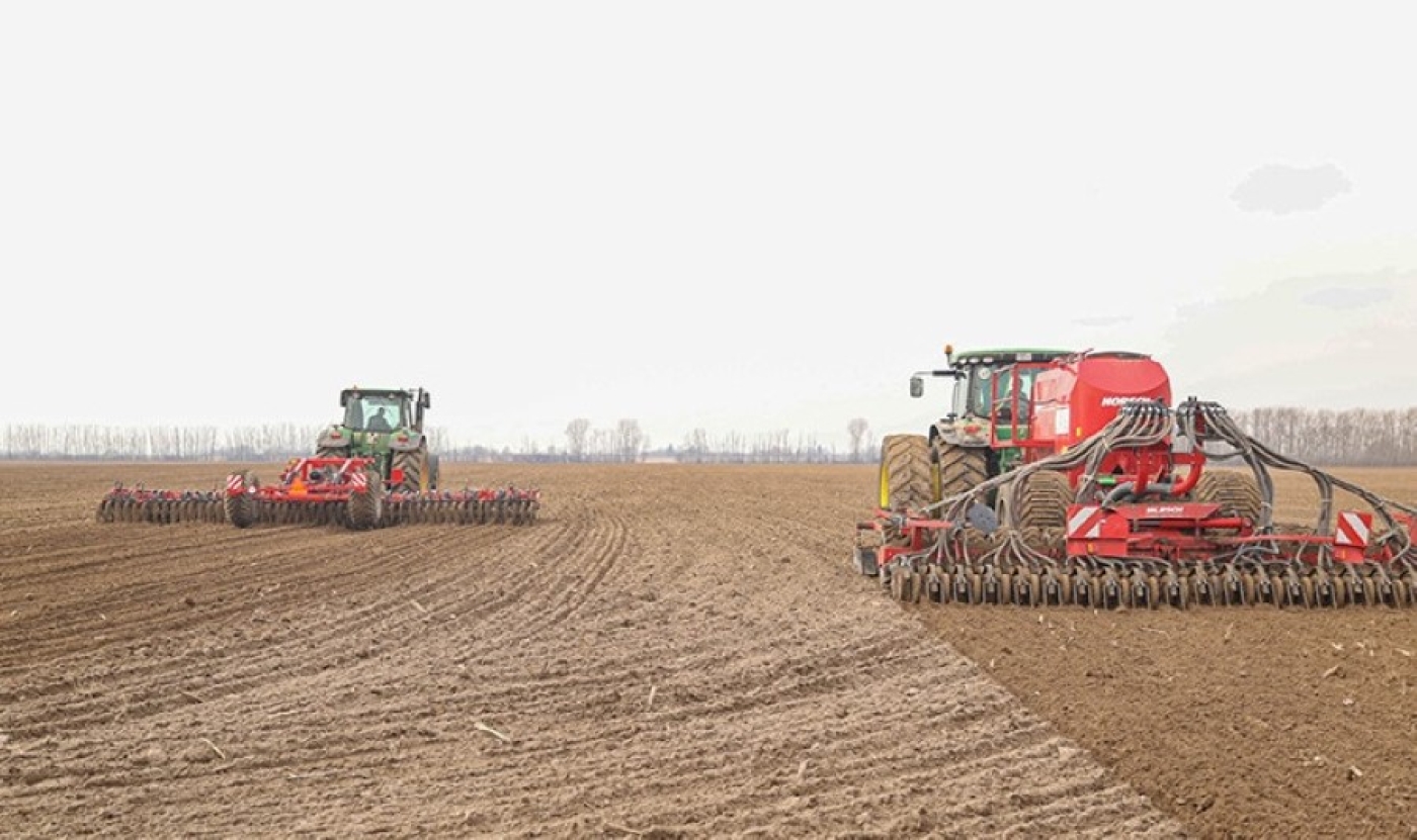 В Беларуси посеяно более половины ранних зерновых и зернобобовых