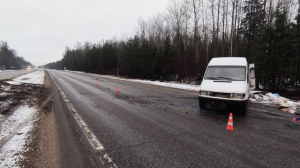 В аварии под Борисовом перевернулся микроавтобус