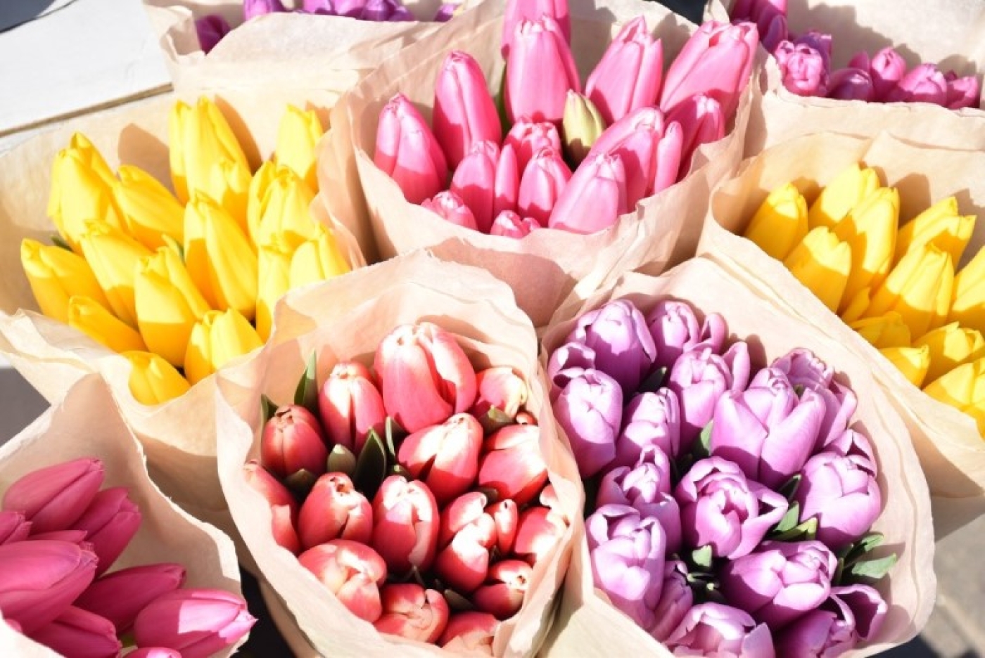 "Фрукты отдельно, цветы отдельно". Эксперт дал советы, как продлить жизнь праздничного букета