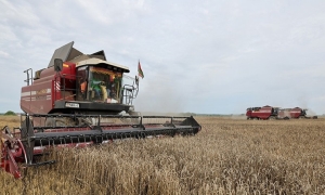 Белорусские аграрии намолотили более 7,6 млн тонн зерна