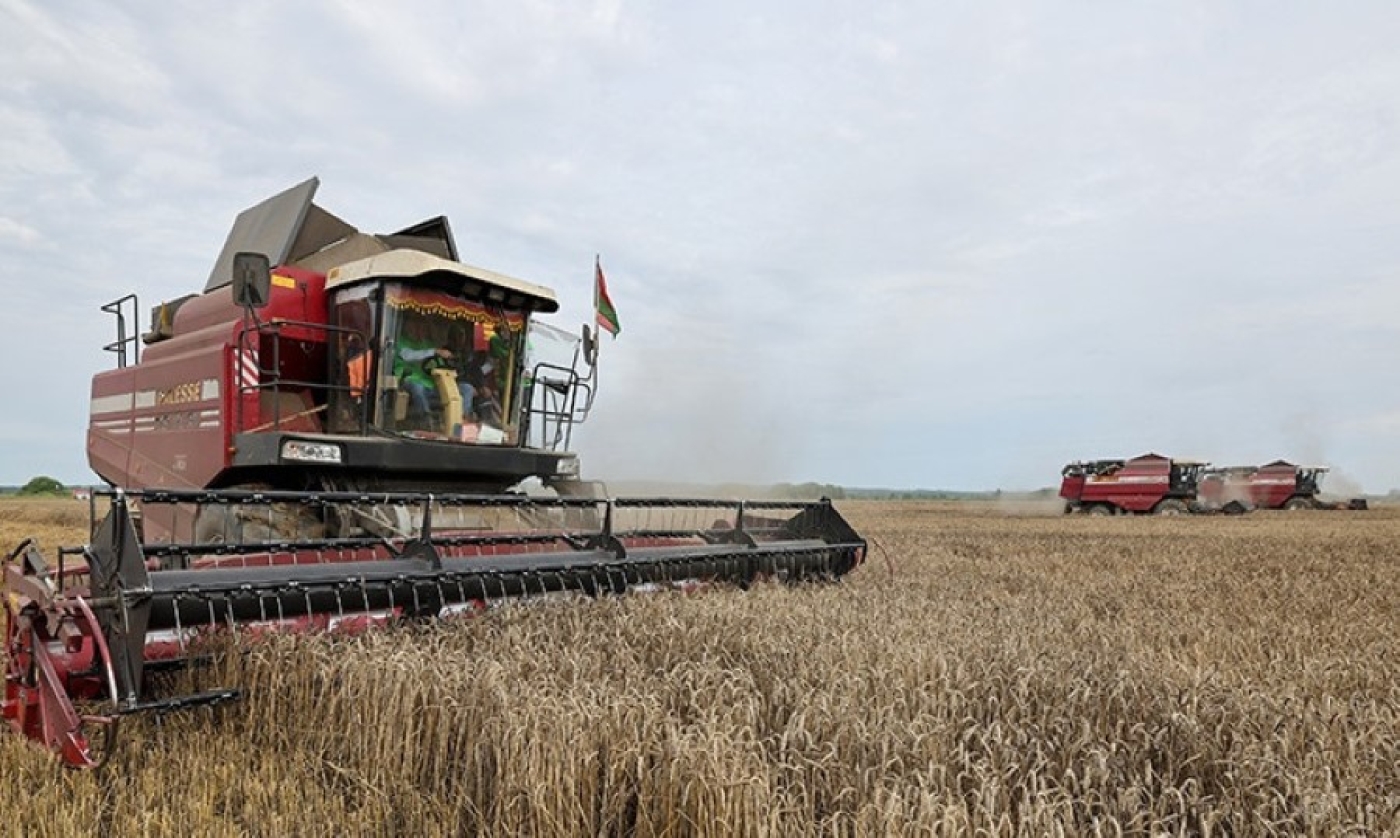 Белорусские аграрии намолотили более 7,6 млн тонн зерна