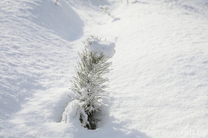 Погода в Беларуси в выходные: без осадков, гололедица и от -20 °С до +6 °С