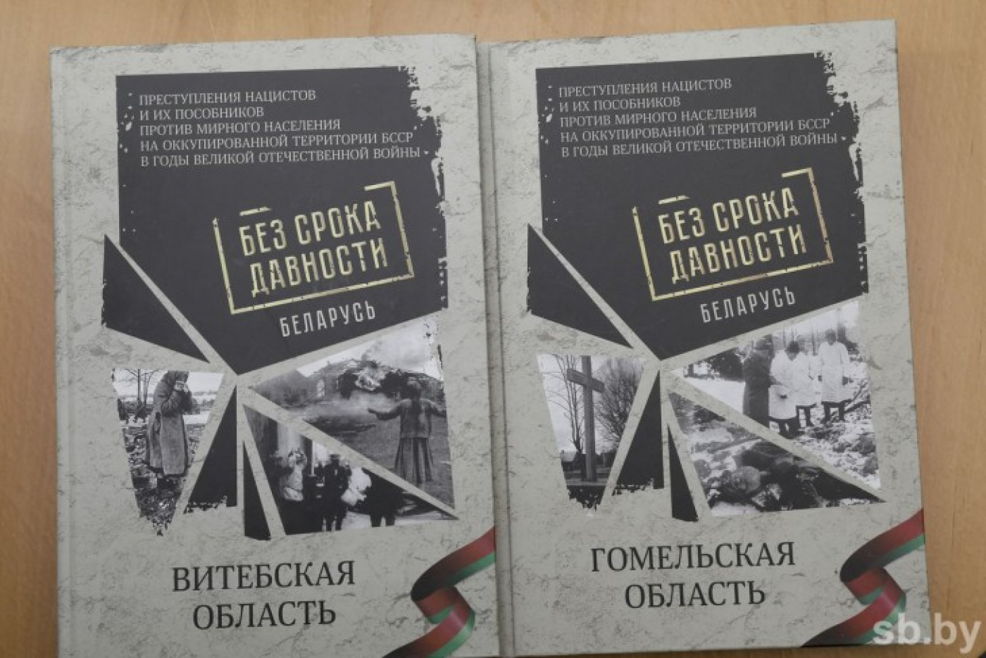 Более 1 тыс. свидетельств преступлений нацистов будет опубликовано в сборниках документов "Без срока давности"